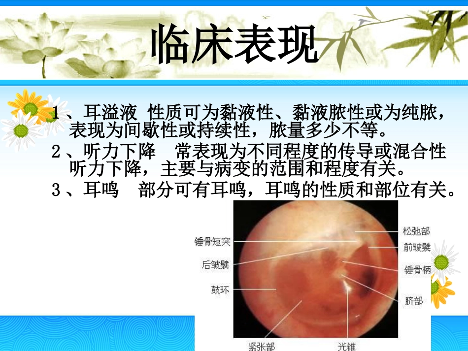 慢性中耳炎(2)_第8页