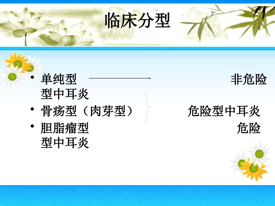 慢性中耳炎(2)_第9页