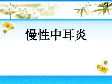 慢性中耳炎(2)