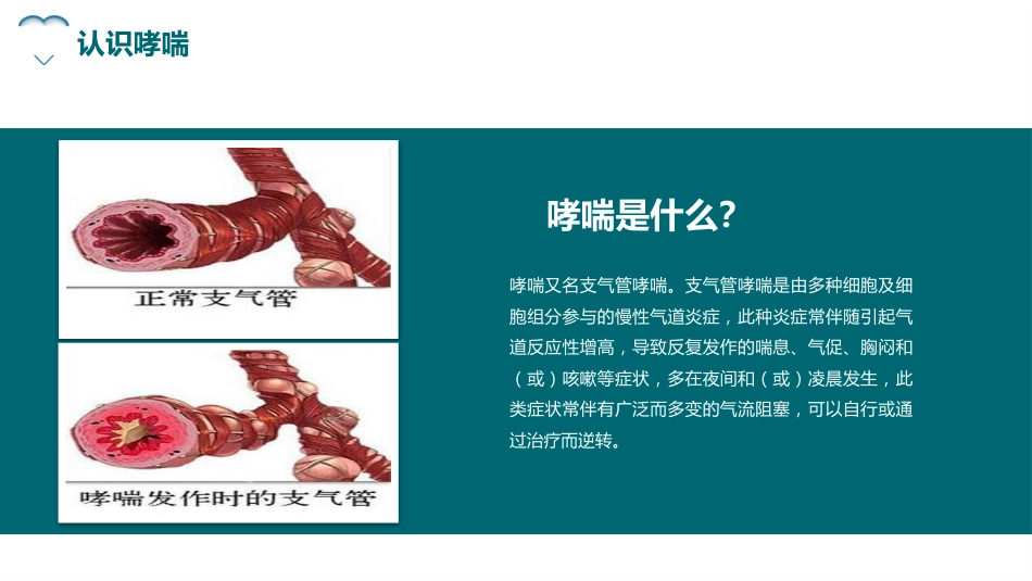 哮喘健康教育4_第6页