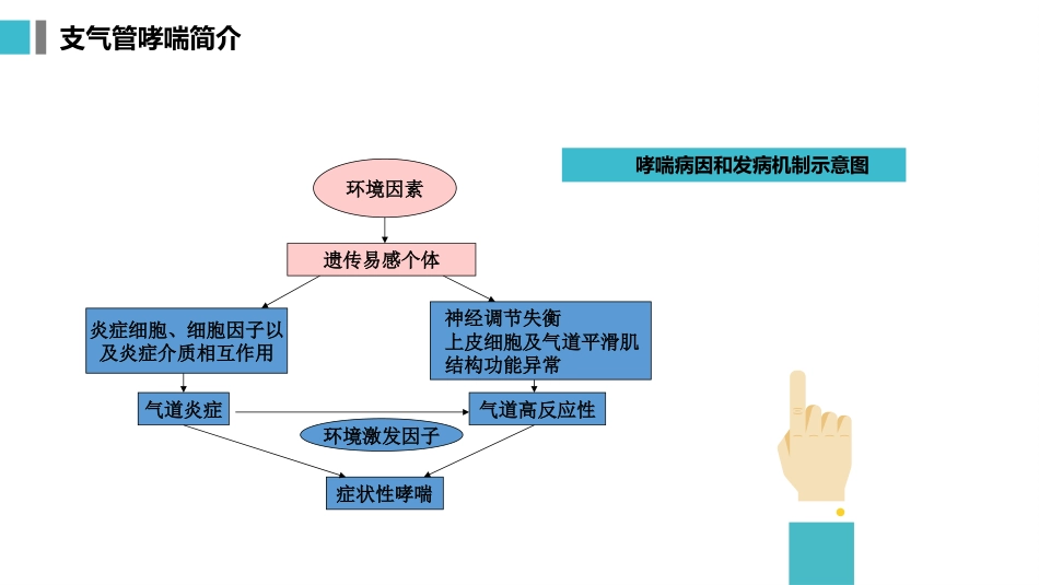 支气管哮喘患者的护理5_第5页