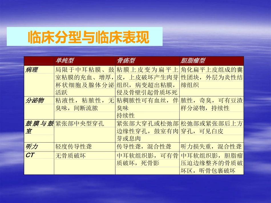 慢性化脓性中耳炎(3)_第15页