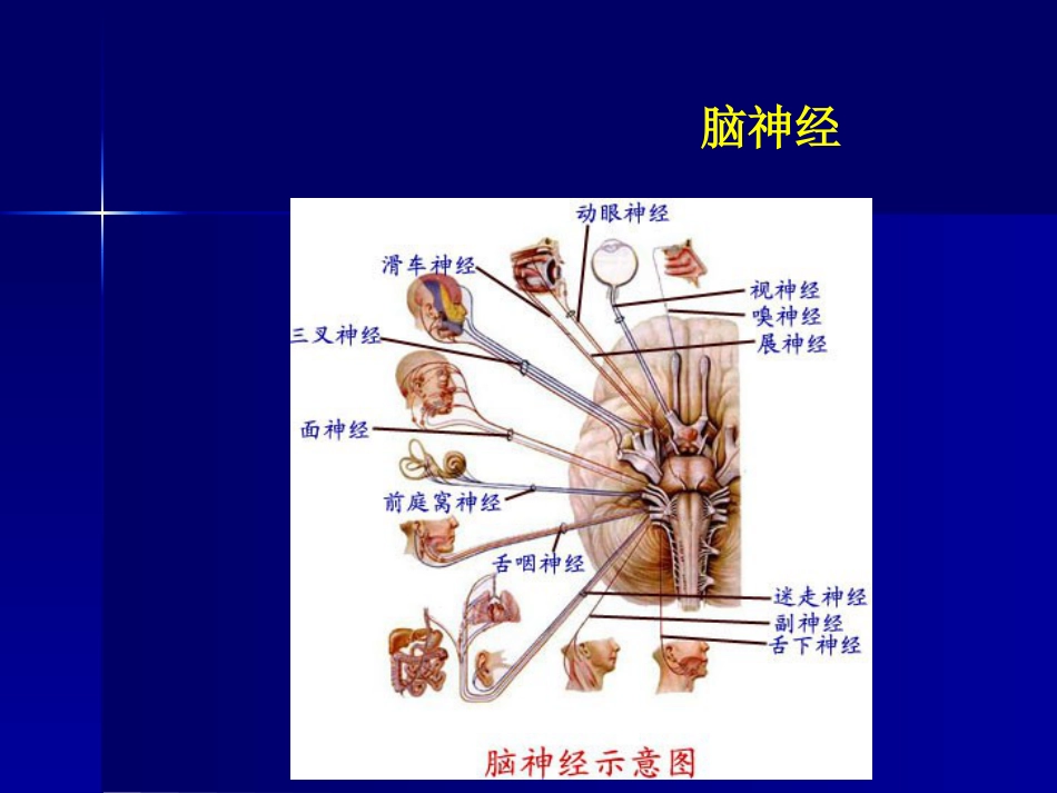 鼻咽癌(3)_第8页