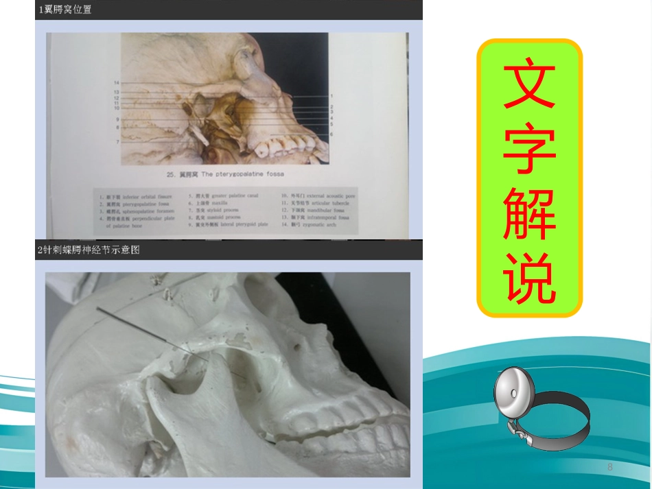 鼻炎 3 穴 讲解精编版_第8页