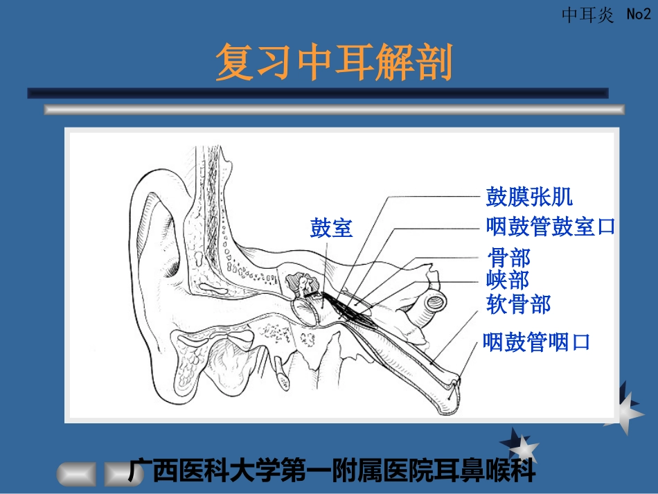 急性化脓性中耳炎(3)_第2页