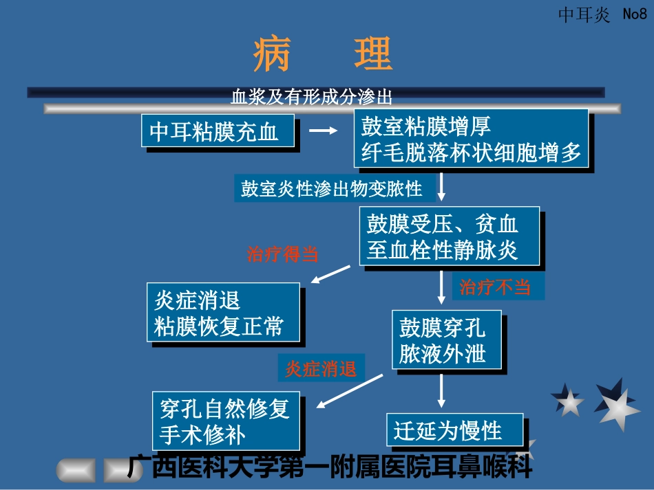 急性化脓性中耳炎(3)_第8页