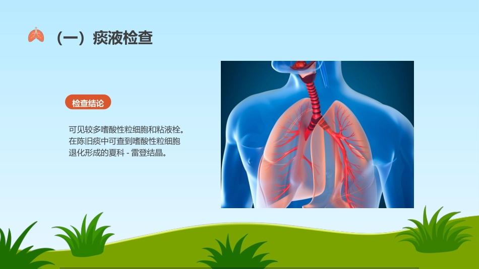 支气管哮喘护理查房5_第13页