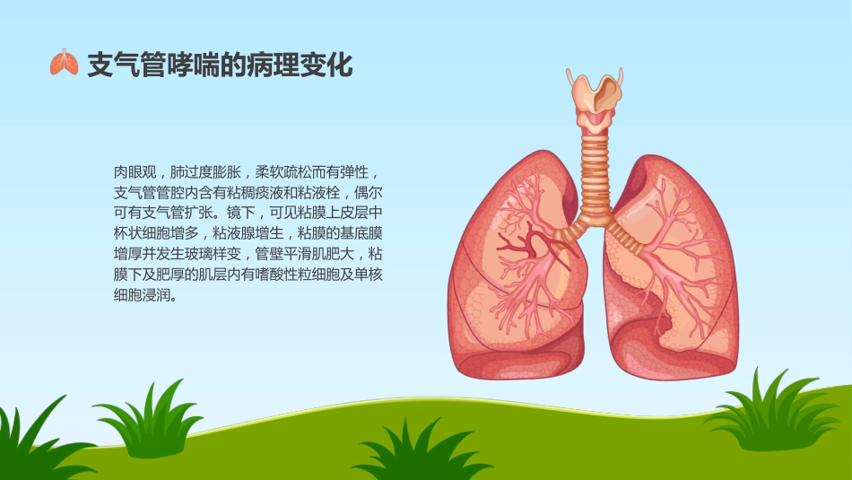 支气管哮喘护理查房5_第6页