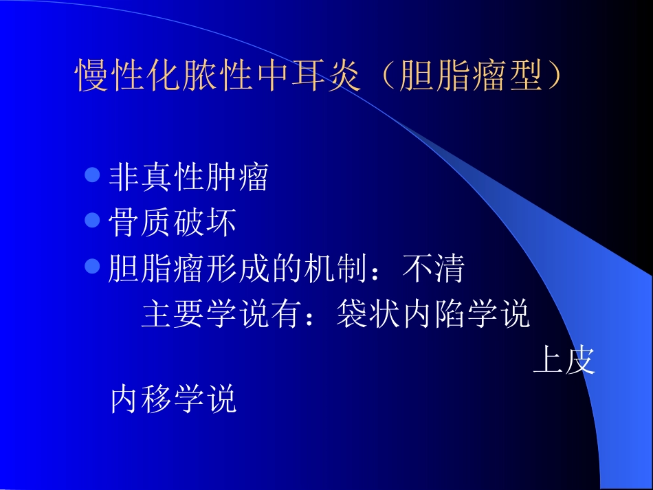 慢性化脓性中耳炎(4)_第14页
