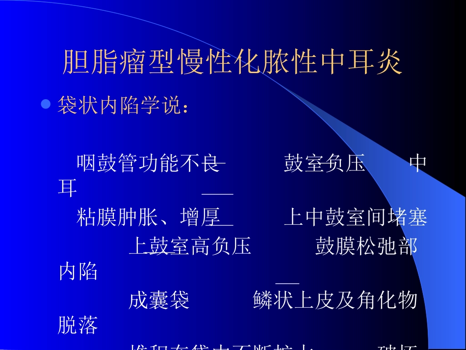 慢性化脓性中耳炎(4)_第15页