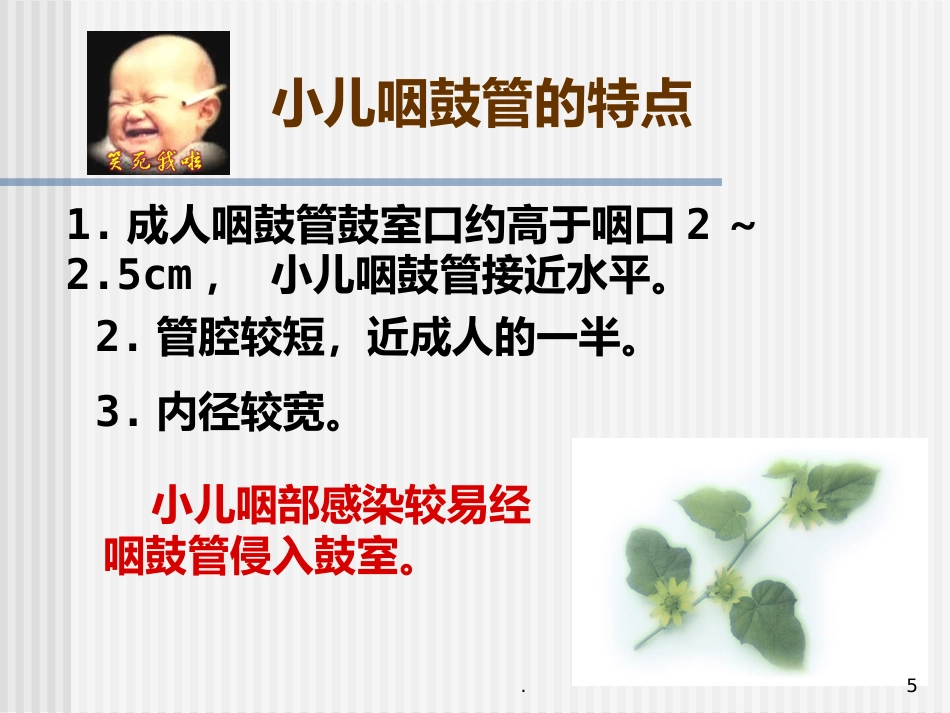 急性化脓性中耳炎(5)_第5页