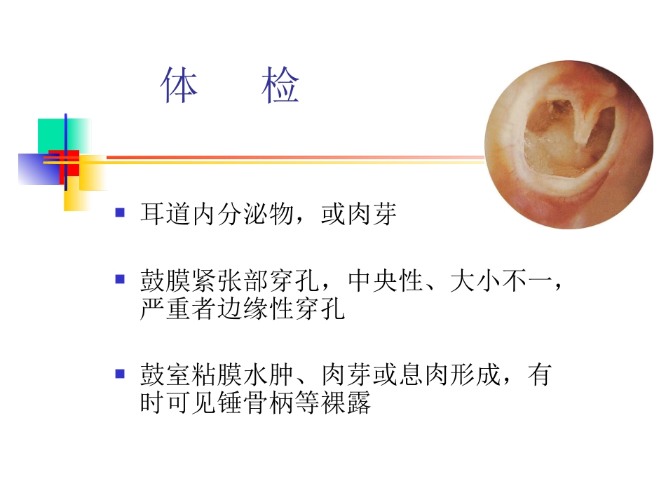 慢性化脓性中耳炎(6)_第13页