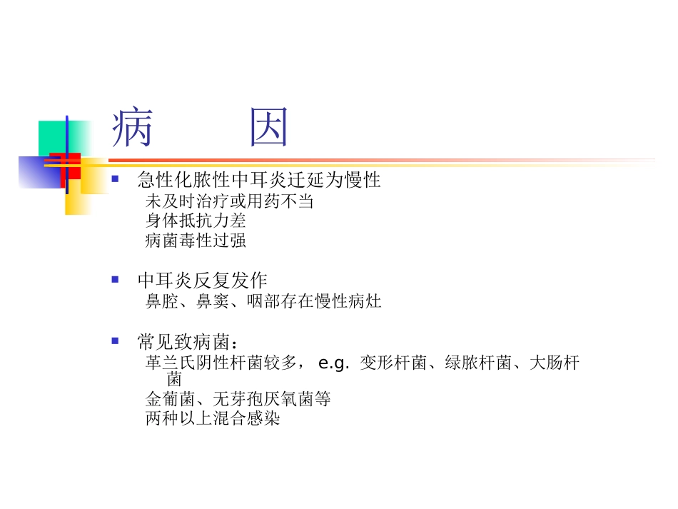 慢性化脓性中耳炎(6)_第9页