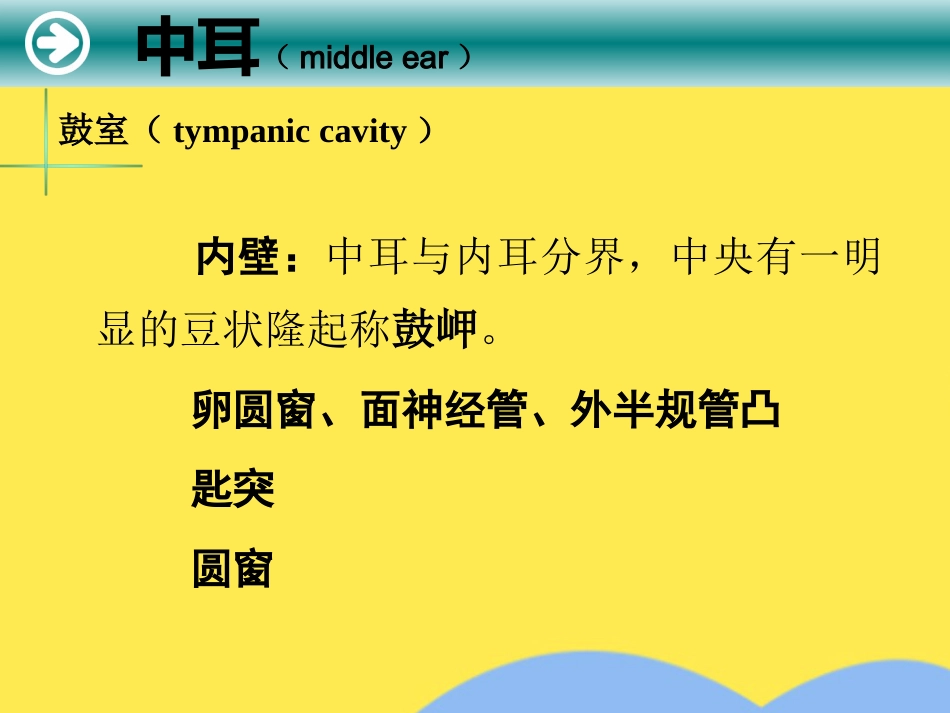 耳解剖及生理(“内耳”相关)共55张_第15页