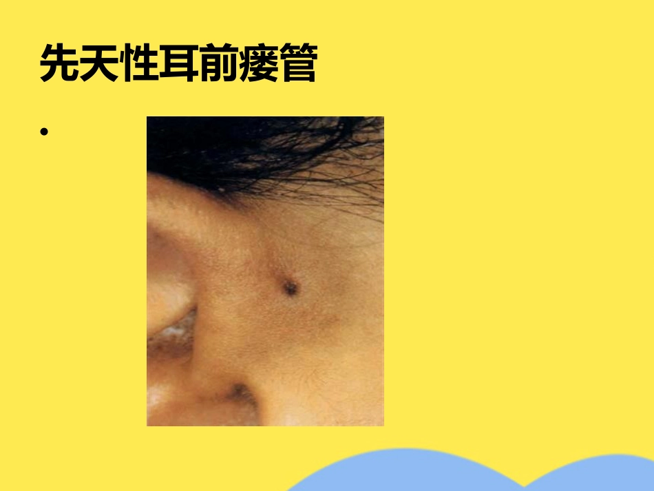 耳解剖及生理(“内耳”相关)共55张_第7页