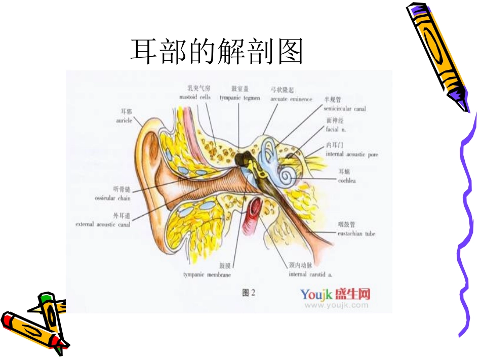 慢性化脓性中耳炎共98页_第5页