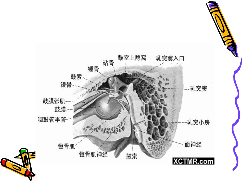 慢性化脓性中耳炎共98页_第7页
