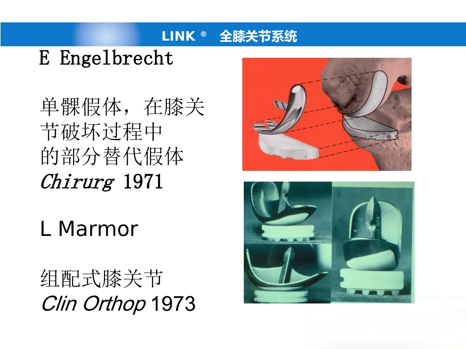 德国LINK单髁(新)产品操作-骨科关节手术_第4页