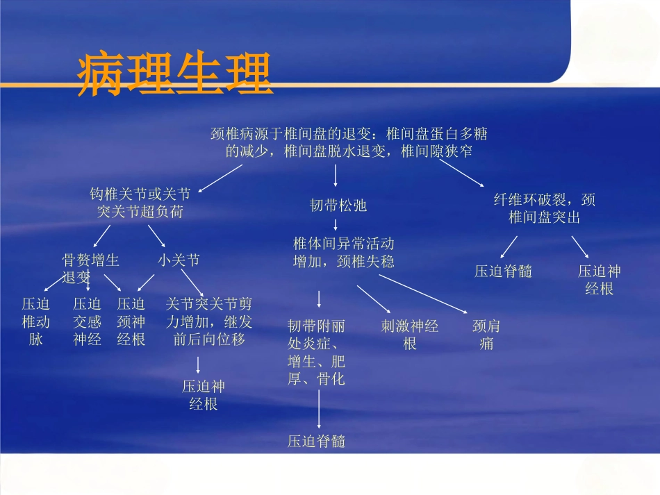 颈椎病的临床诊治-PPT_第8页