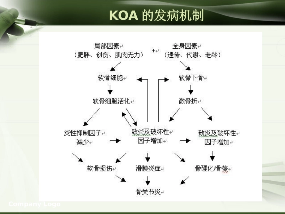 针刀治疗膝关节骨性关节炎PPT_第3页
