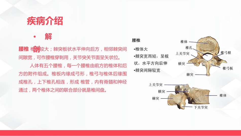 腰椎骨折的护理_第4页