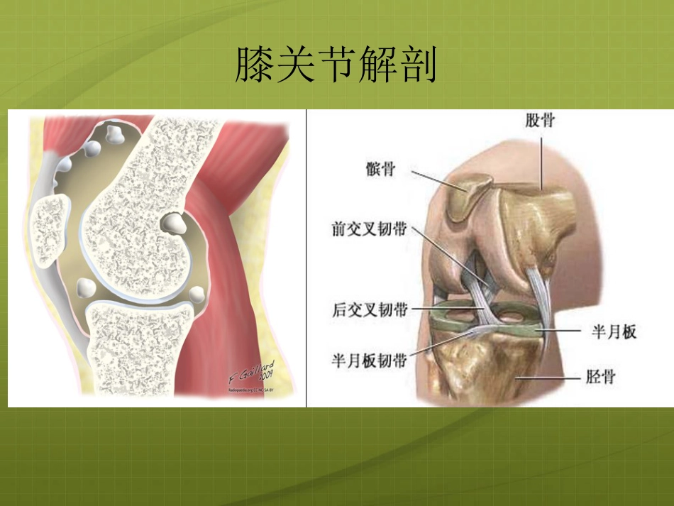 膝关节针灸治疗_第3页