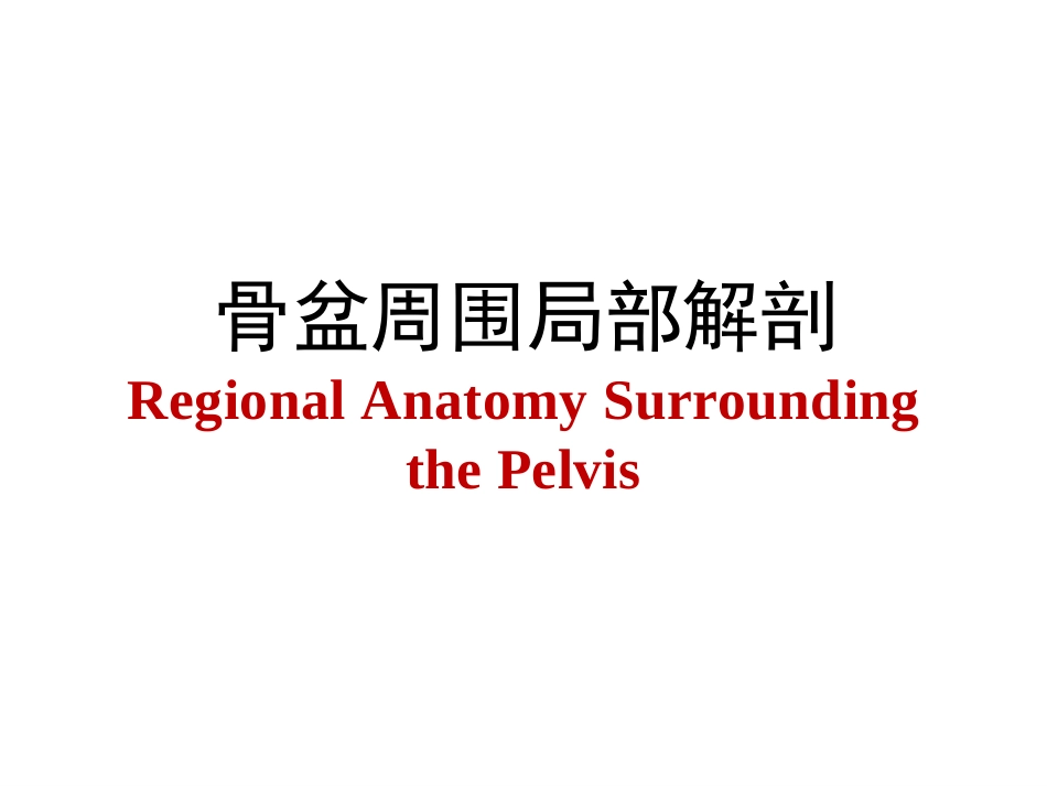 长海骨盆周围解剖_第1页