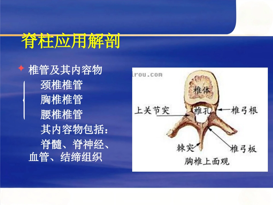 脊柱手术体位摆放要点_第11页