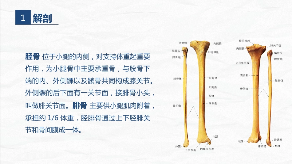 骨科-右胫腓骨远端骨折术合并骨盆骨折的护理查房_第4页