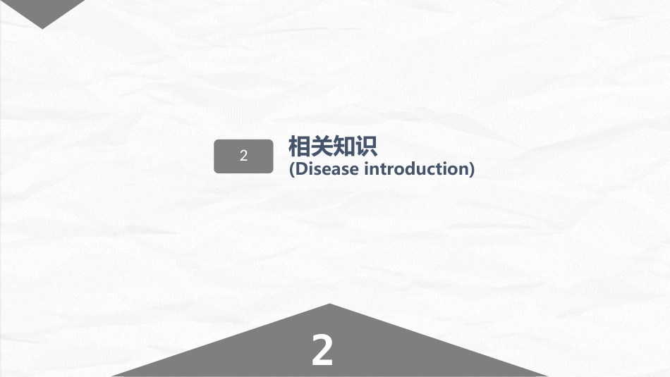 经前路腰椎手术护理配合_第11页