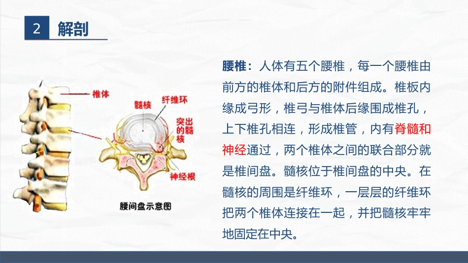 经前路腰椎手术护理配合_第13页