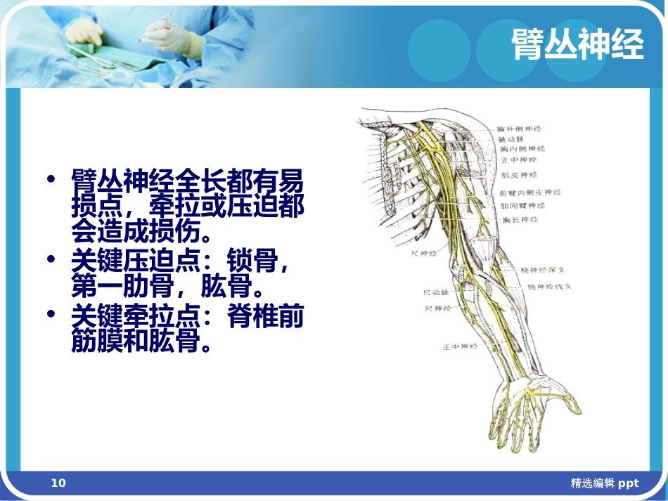 手术体位相关周围神经损伤及防护ppt课件_第10页