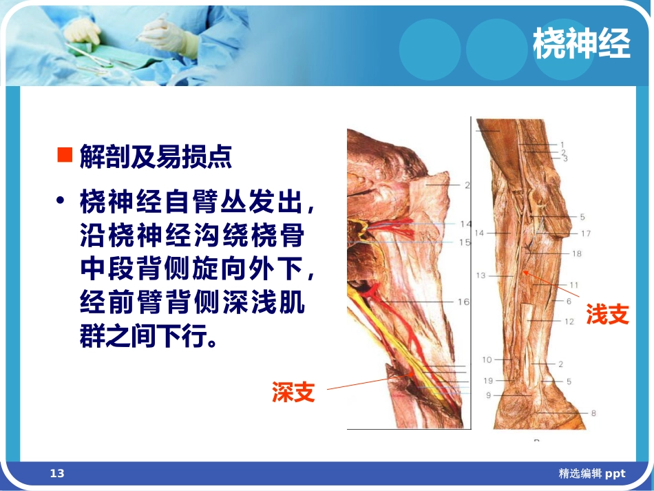 手术体位相关周围神经损伤及防护ppt课件_第13页