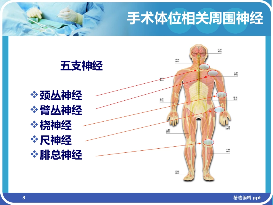 手术体位相关周围神经损伤及防护ppt课件_第3页