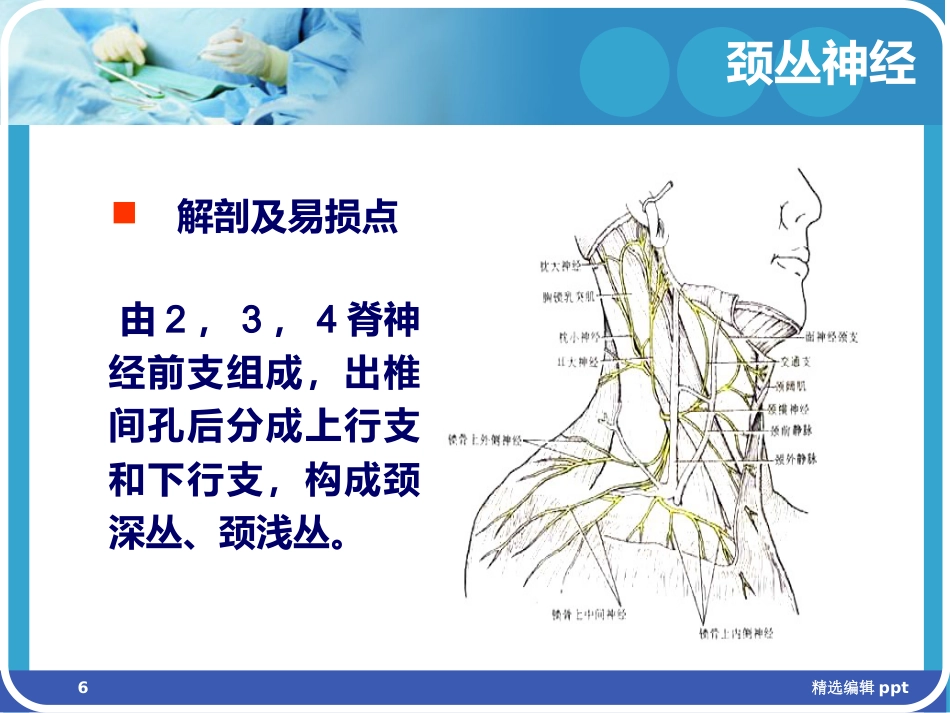 手术体位相关周围神经损伤及防护ppt课件_第6页