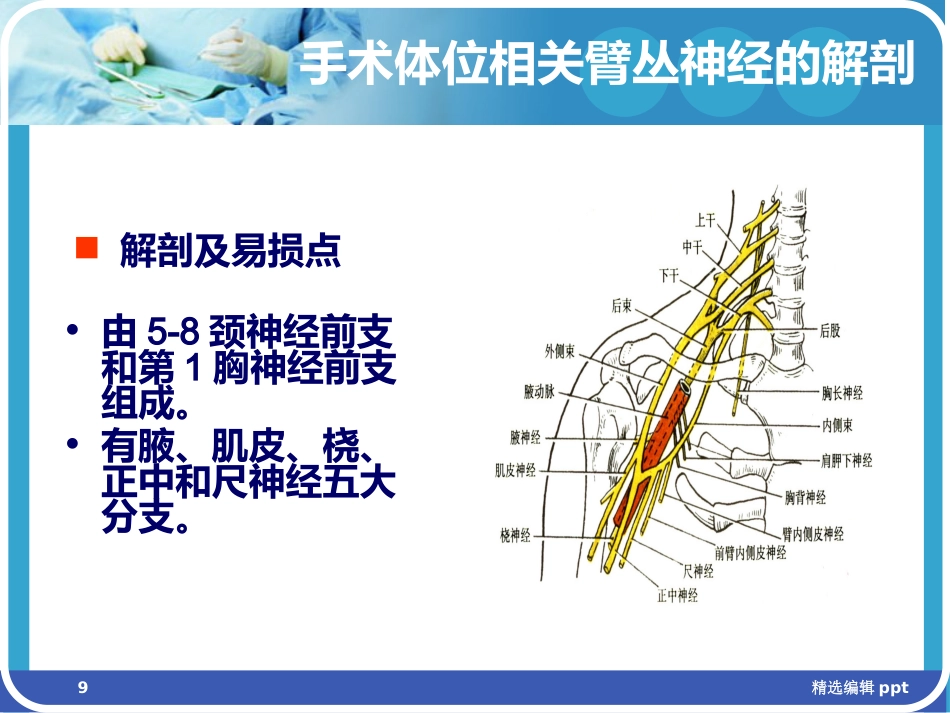 手术体位相关周围神经损伤及防护ppt课件_第9页