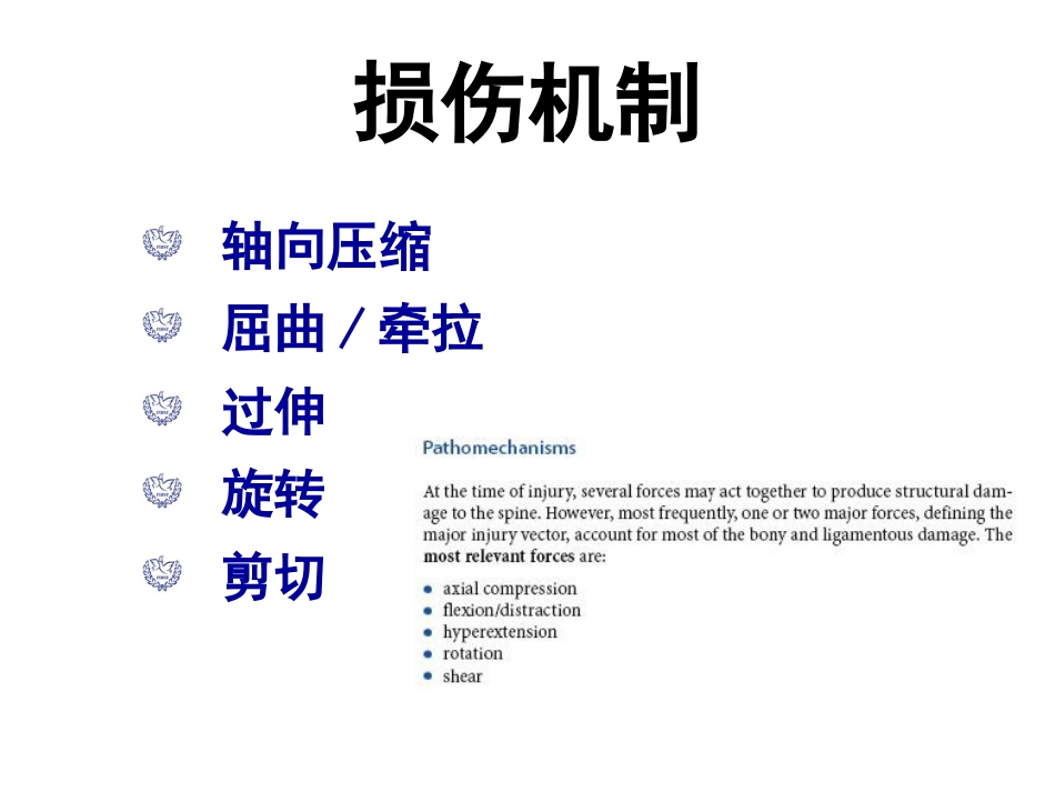 胸腰段脊柱骨折内固定范围的选择_第6页