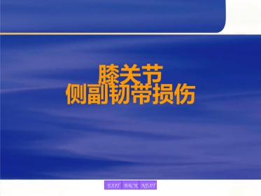 膝关节侧副韧带损伤