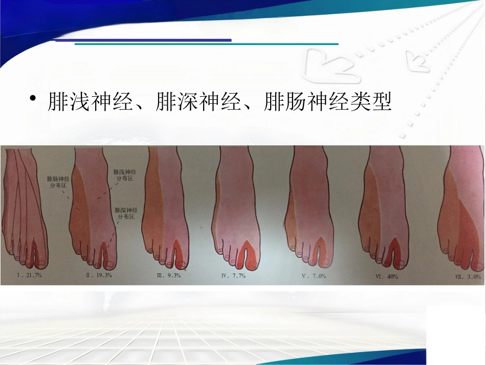 前足生理、病理解剖概述_第7页