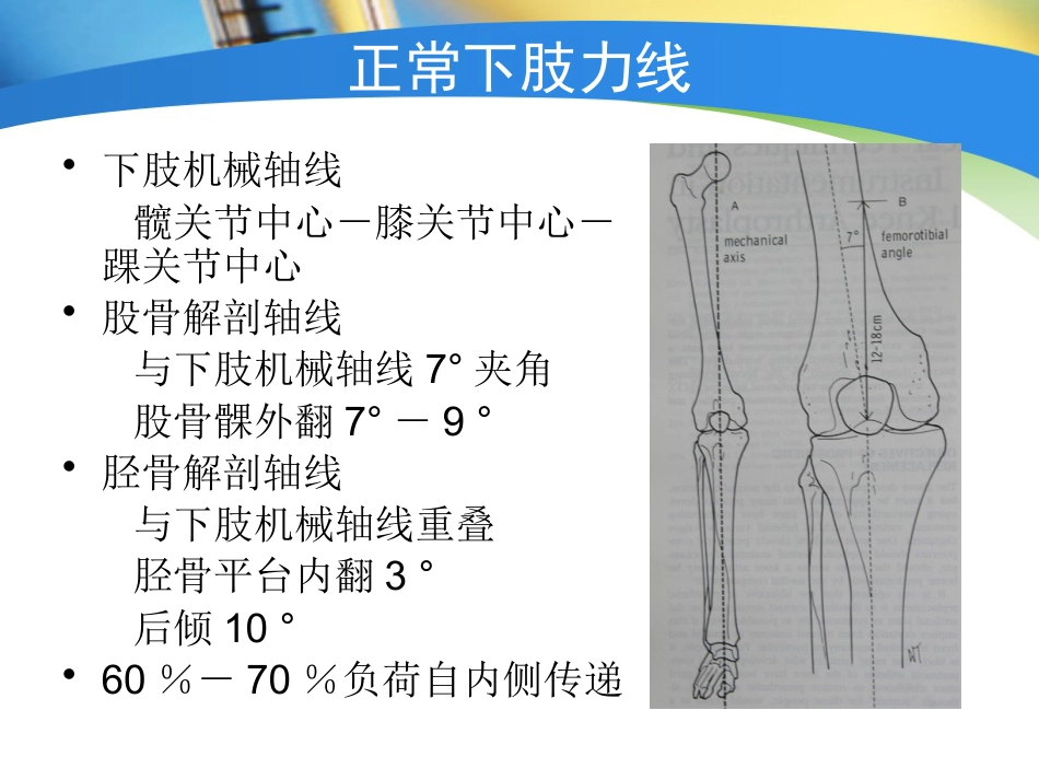 全膝关节置换术力线_第6页