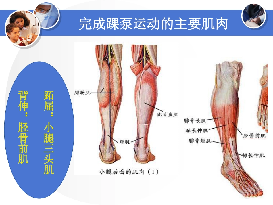 踝泵运动课件_第6页