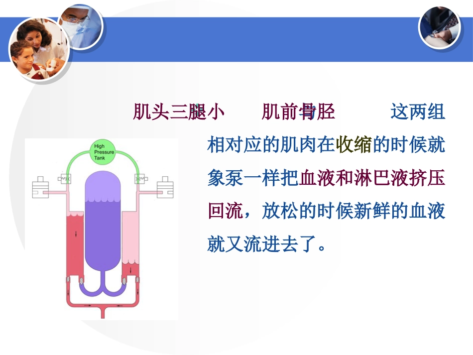 踝泵运动课件_第8页