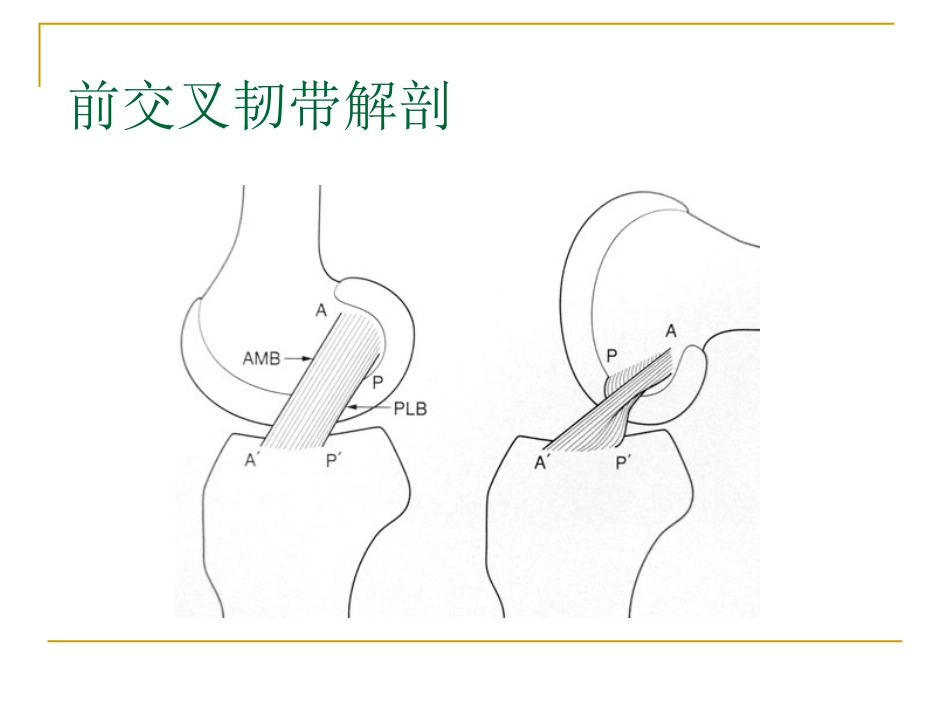 膝关节损伤MRI诊断问题分析_第5页