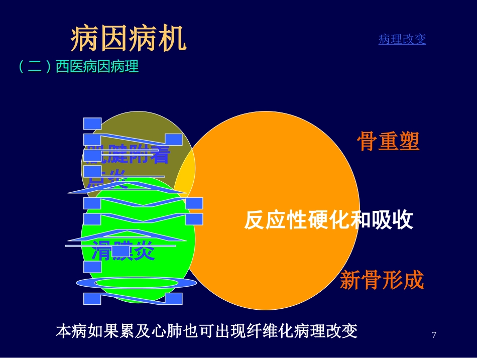 强直性脊柱炎ppt课件_第7页