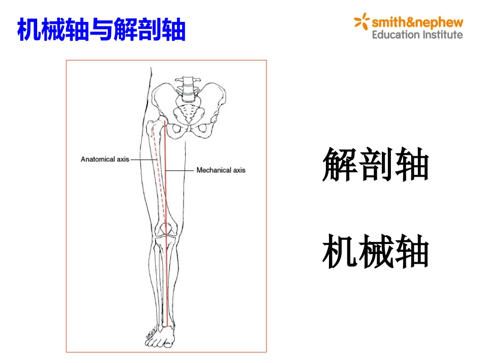 膝关节生物力学_第4页