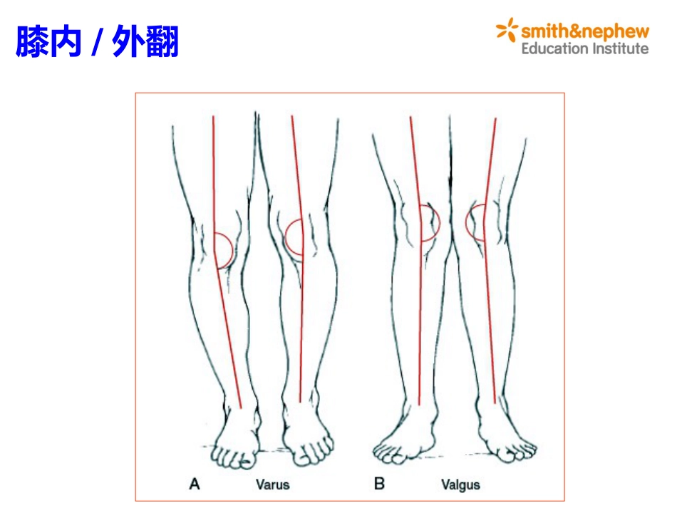 膝关节生物力学_第7页