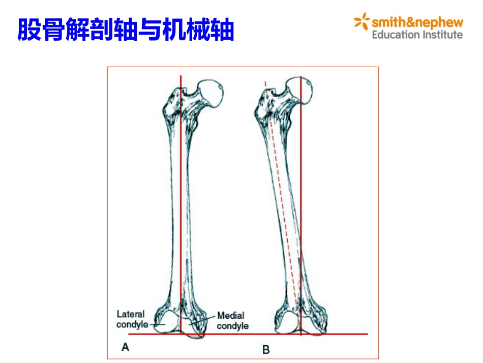 膝关节生物力学_第9页