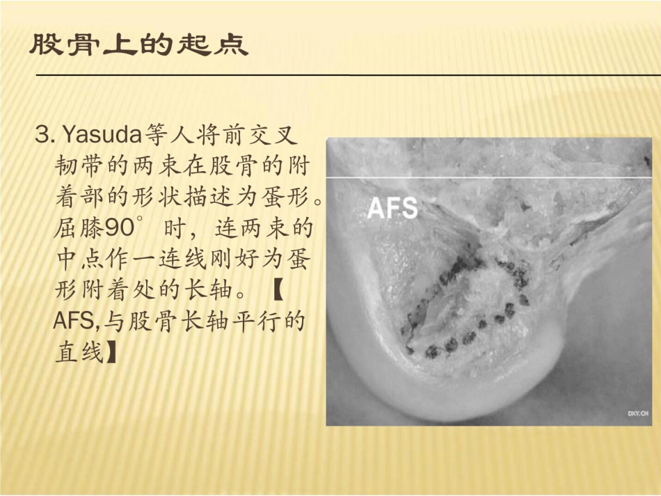前交叉韧带重建康复流程_第4页