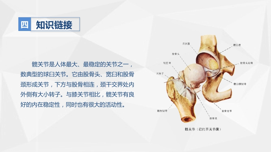 人工髋关节置换术后预防下肢深静脉血栓形成的护理_第7页