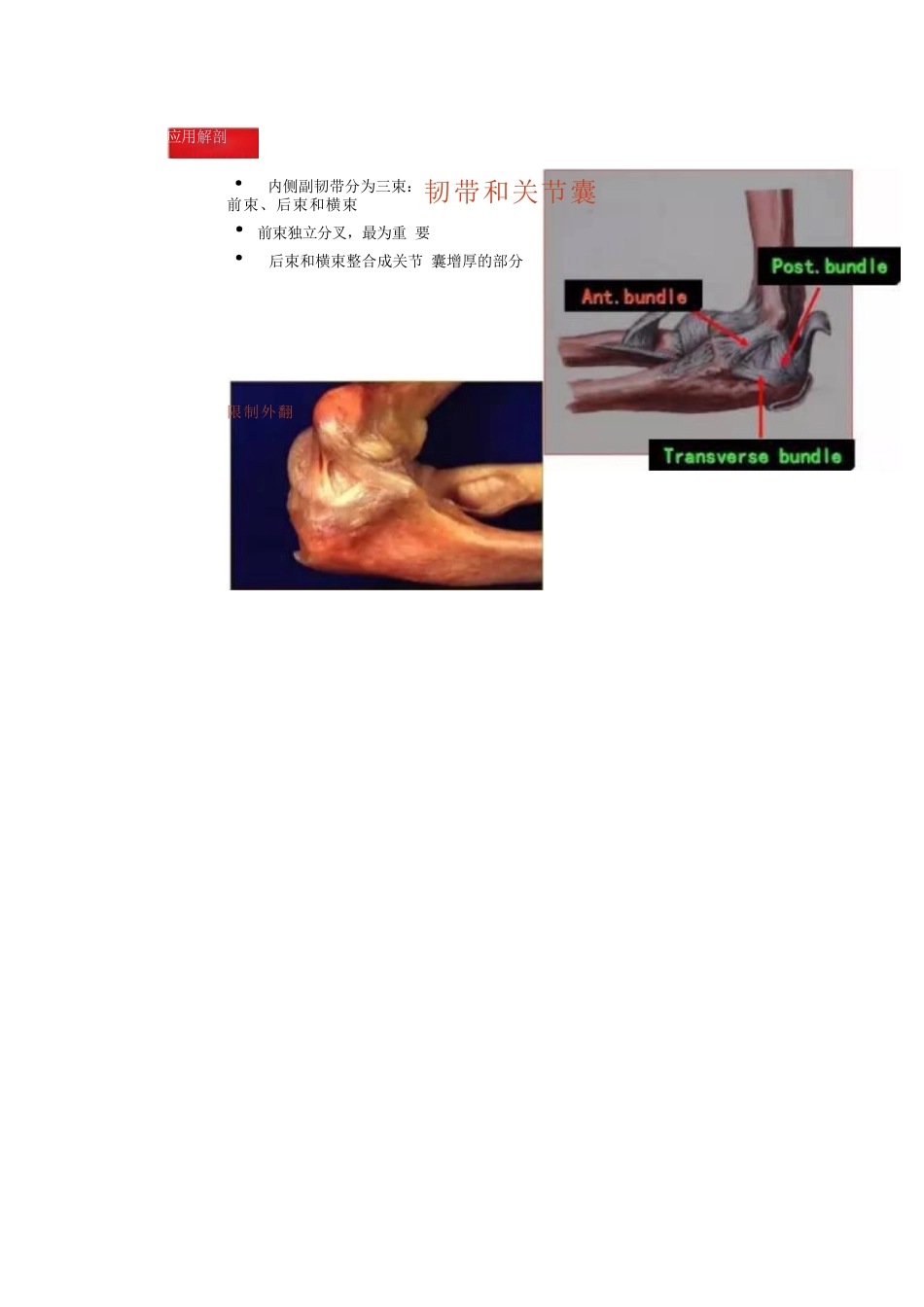肘关节手术入路二_第3页